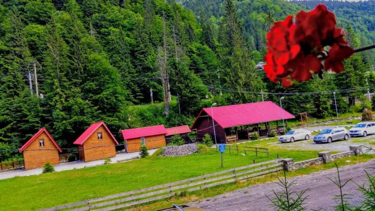Вілла Casa Miorita Cumpana  Екстер'єр фото